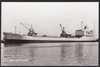 Havmann