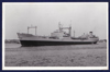 RFA Pearleaf