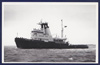 RFA Rollicker