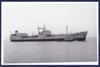 RFA Plumleaf