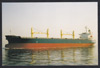 Fleet Phoenix