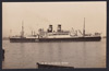 Avelona Star
