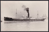 Tarantia